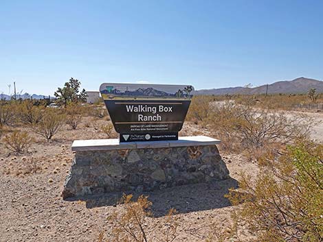 Walking Box Ranch Road