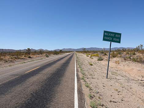 Walking Box Ranch Road