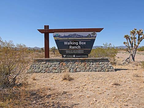 Walking Box Ranch Road