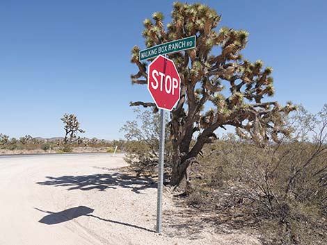 Walking Box Ranch Road