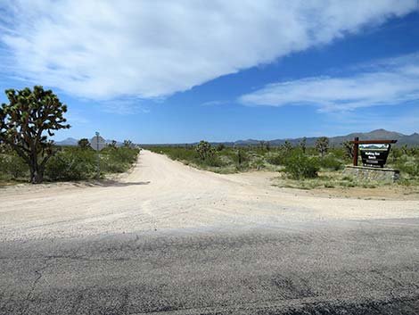 Walking Box Ranch Road