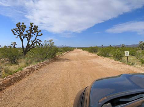 Walking Box Ranch Road