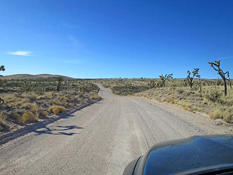 Walking Box Ranch Road