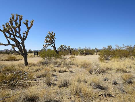 Wagon Road Trailhead