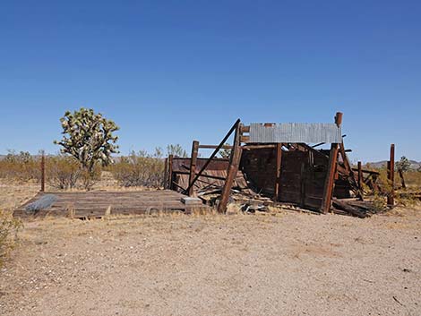 Walking Box Ranch