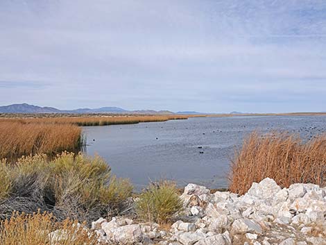 Darcy Reservoir