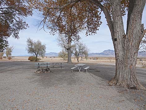 Dave Deacon Campground