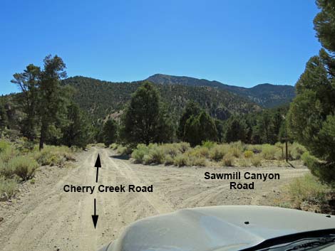 Cherry Creek Road