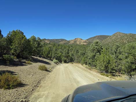 Cherry Creek Road