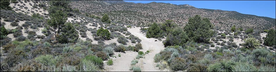 Shooting Gallery Road