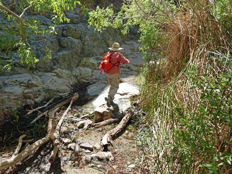 Darwin Falls Trail