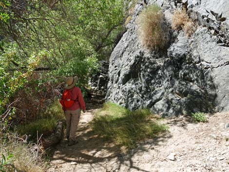 Darwin Falls Trail