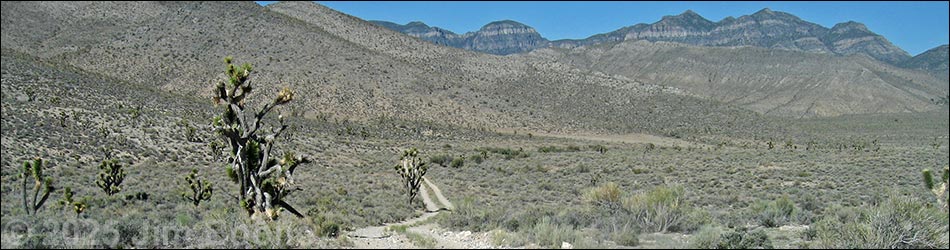 Deadhorse Road