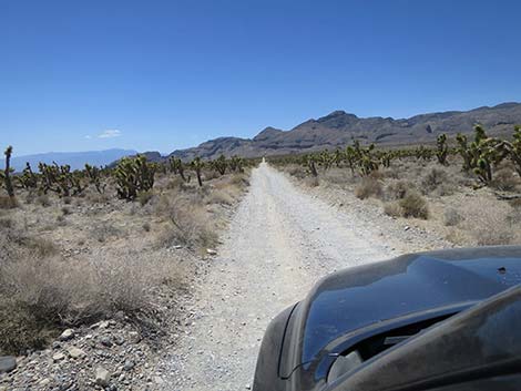 Mormon Well Road