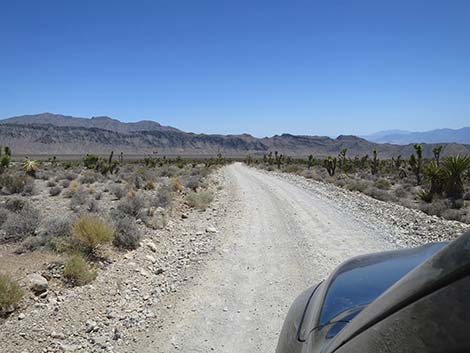 Mormon Well Road