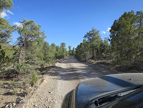 Mormon Well Road