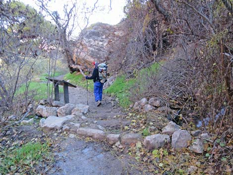 Bright Angel Trail