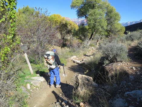 Bright Angel Trail