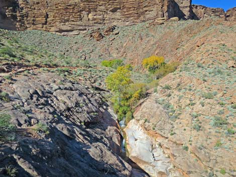 Bright Angel Trail