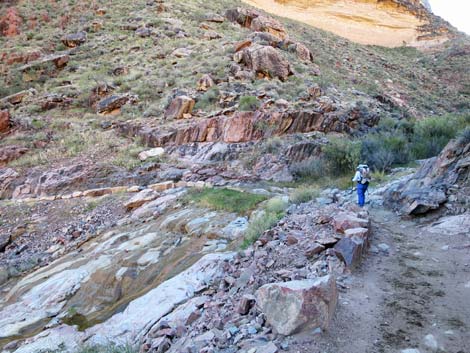 Bright Angel Trail