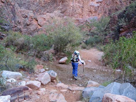 Bright Angel Trail