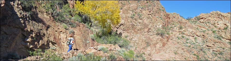 Bright Angel Trail