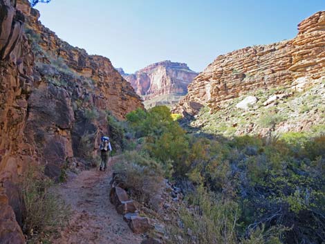 Bright Angel Trail