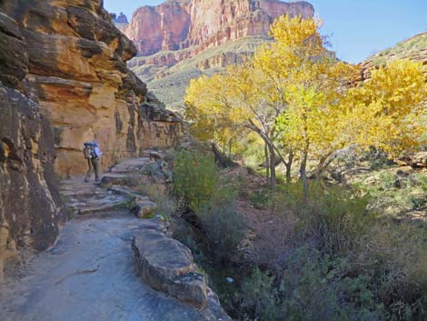 Bright Angel Trail