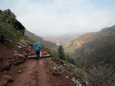 Bright Angel Trail