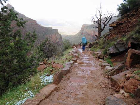 Bright Angel Trail