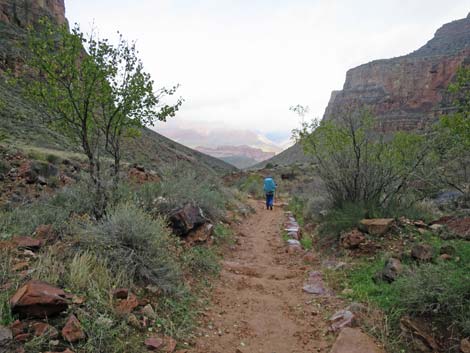 Bright Angel Trail