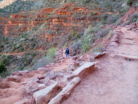 Bright Angel Trail