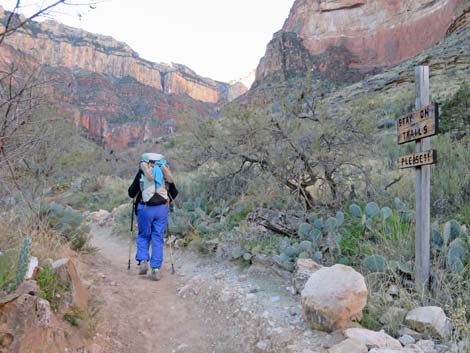 Bright Angel Trail