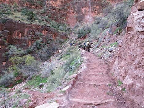 Bright Angel Trail