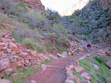 Bright Angel Trail