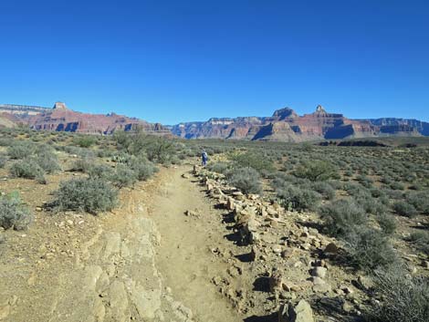 Plateau Point Trail