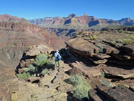 Plateau Point Trail