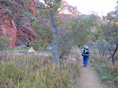 Camping at bright angel campground best sale