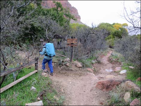 Indian Garden Campground