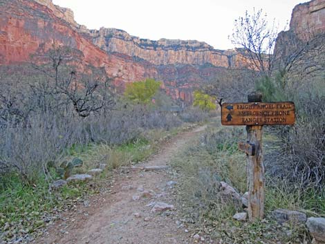 Indian Garden Campground