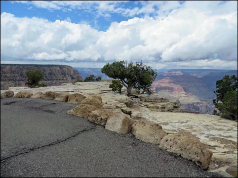 Rim Trail