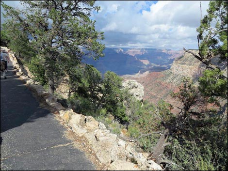 Rim Trail