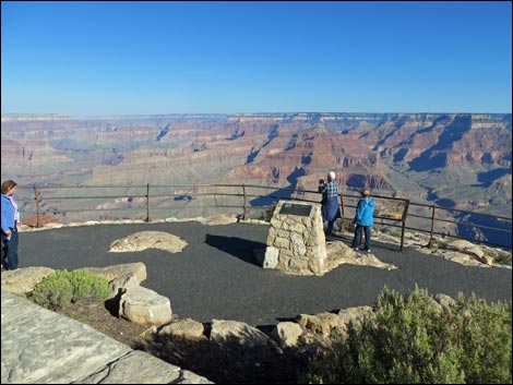 Rim Trail