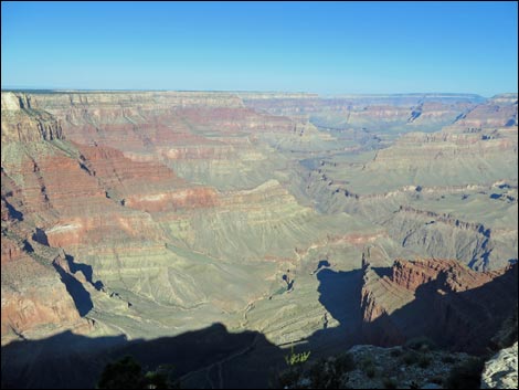 Rim Trail