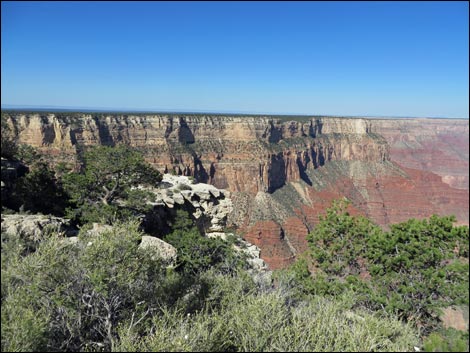 Rim Trail