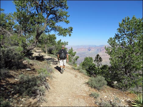 Rim Trail