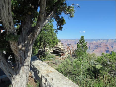 Rim Trail