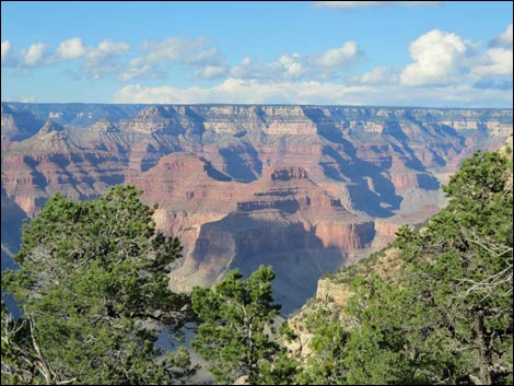 Rim Trail