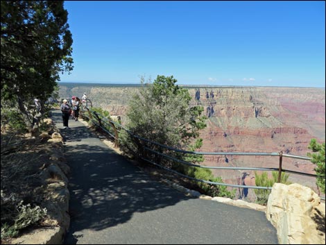 Rim Trail