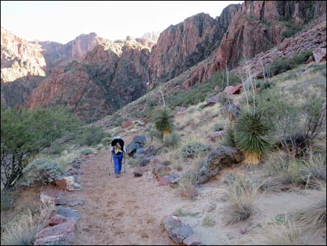 River Trail